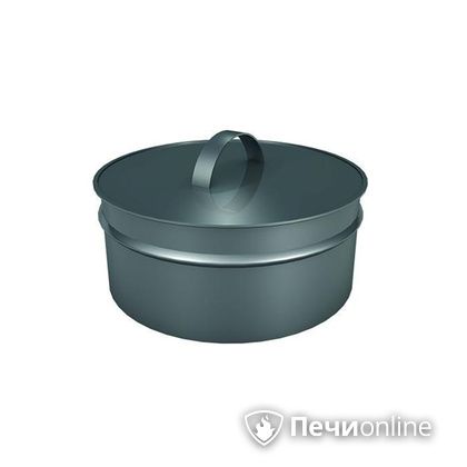 Заглушки Теплов и Сухов Заглушка ревизии Термо-Р 304 0.5 D220(120)