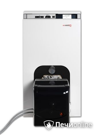 Комбинированные котлы Protherm Бизон 50 NL
